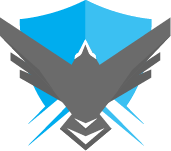 CyberFalconer Logo